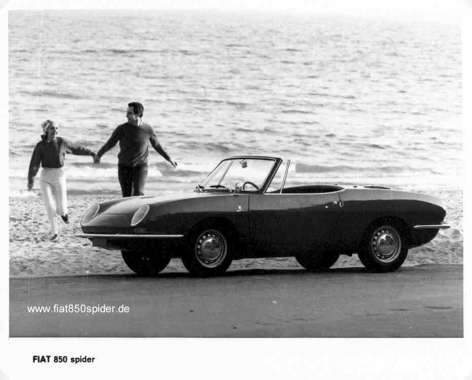 850_spider1_06_67