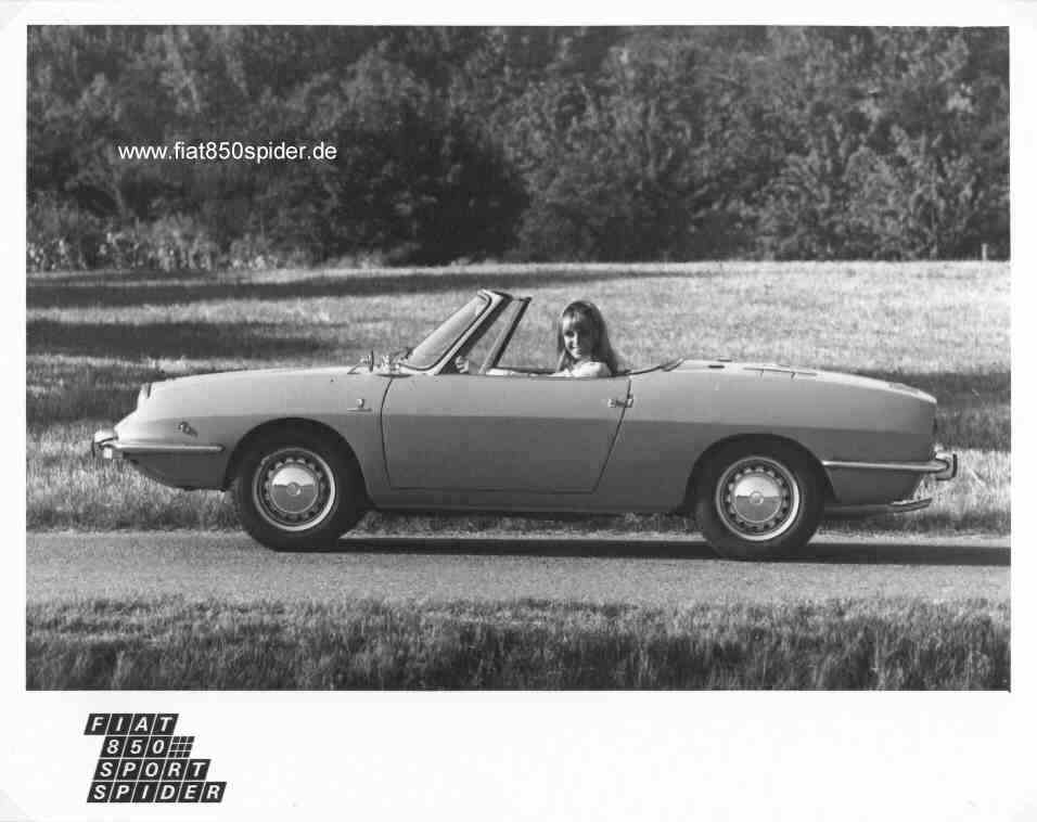 850_spider2
